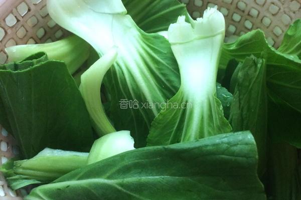 云吞面的做法图解4