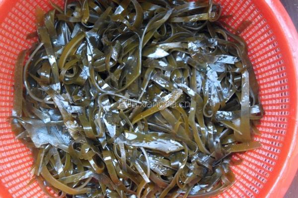 香辣海带丝的做法图解7