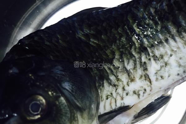 鲫鱼豆腐汤的做法图解1