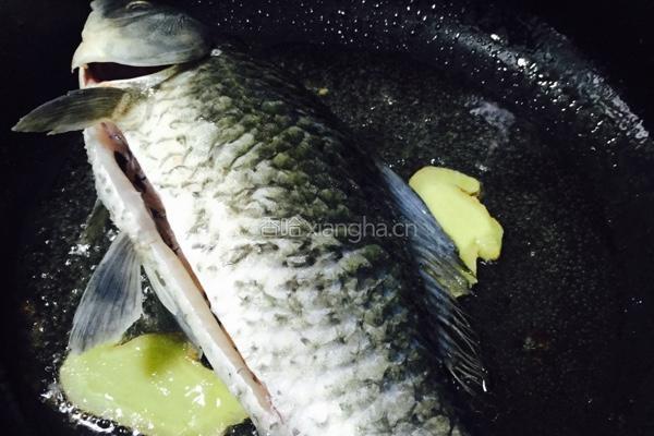 鲫鱼豆腐汤的做法图解2