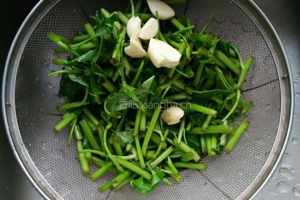 炒空心菜的做法图解1