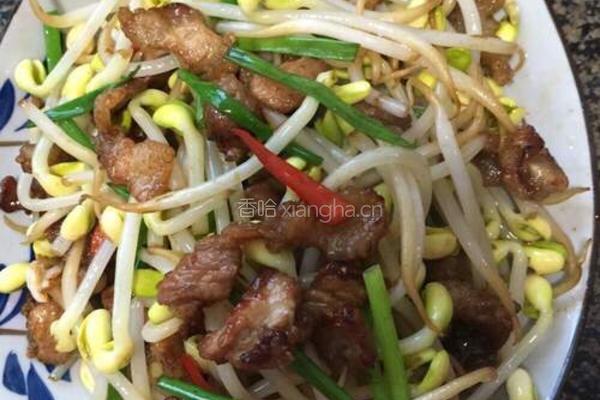 五花肉炒黄豆芽的做法图解8