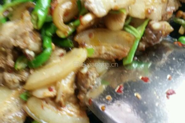 回锅肉的做法图解4