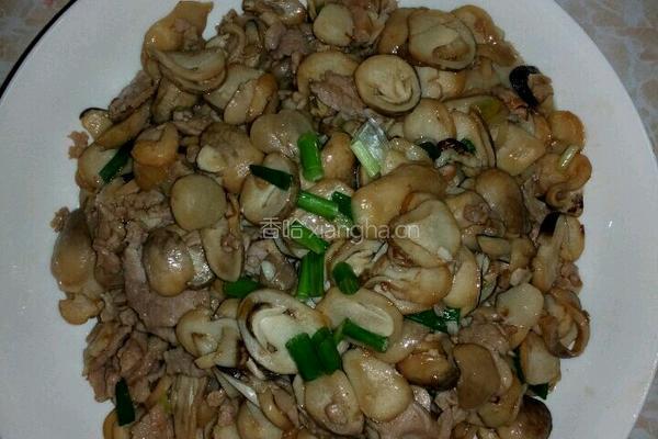 草菇炒肉