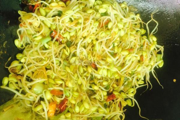 干煸黄豆芽的做法图解4