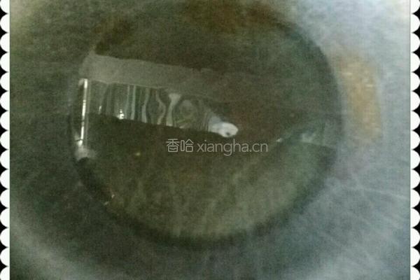 黄豆炒榨菜丝的做法图解4