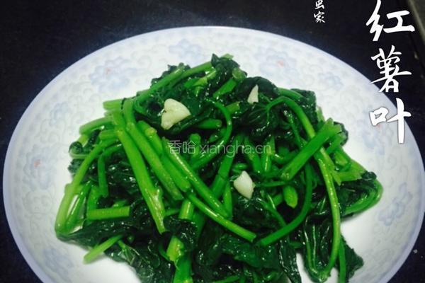 清炒红薯叶的做法图解6