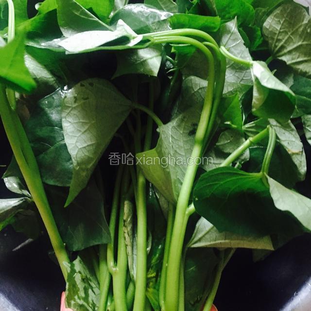 红薯叶一把，要挑嫩一点的