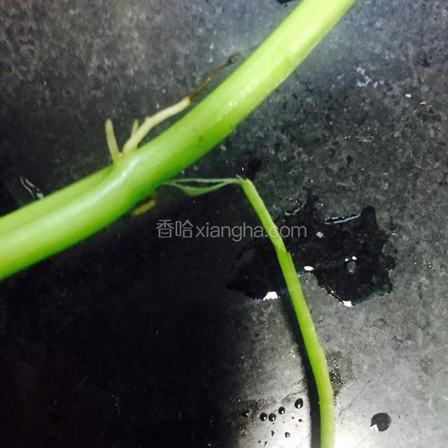 撕掉根部的皮