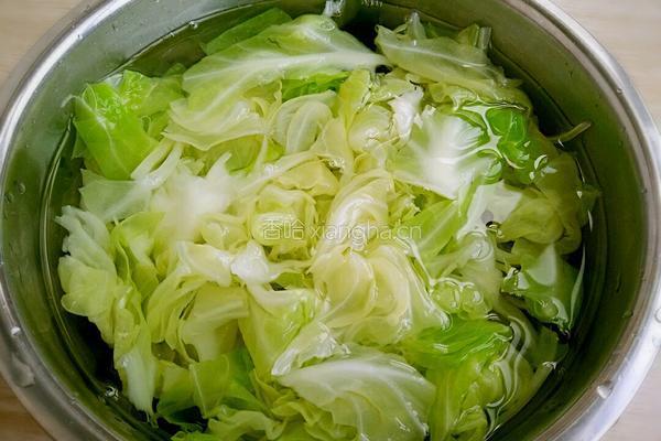 手撕圆白菜的做法图解4