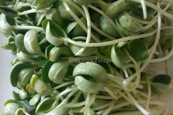芝香凉拌豆苗的做法图解1