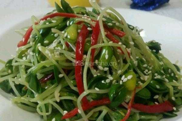 芝香凉拌豆苗的做法图解5