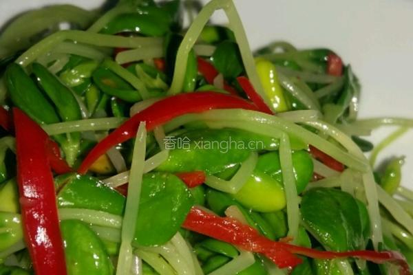 芝香凉拌豆苗的做法图解4