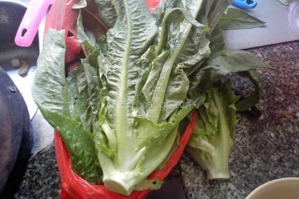 蒜蓉炒油麦菜的做法图解1