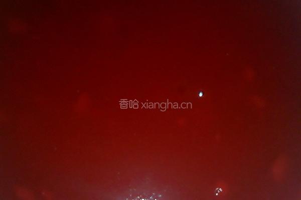 锅包肉的做法图解6