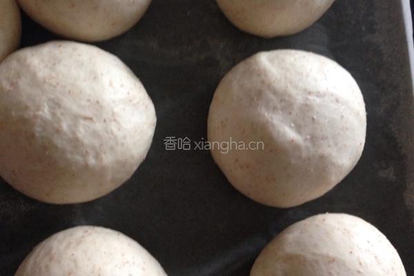 全麦小餐包的做法图解4