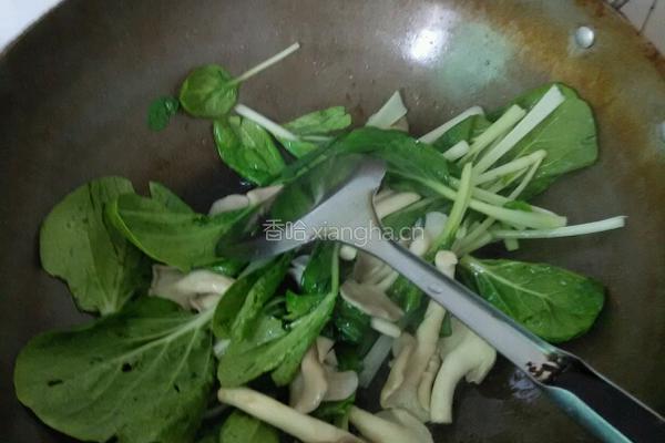 凤尾菇青菜蛋花汤的做法图解6