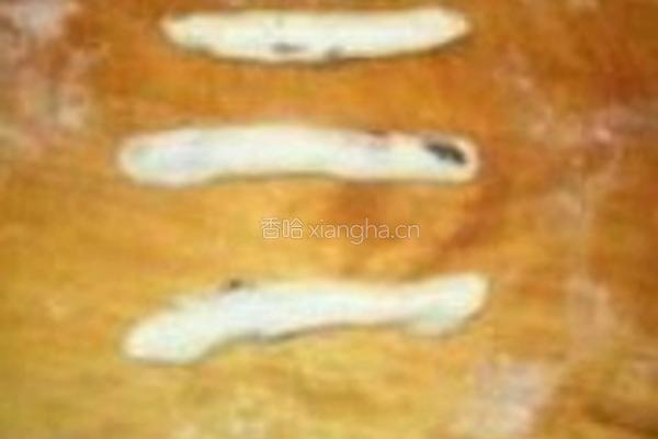 蔓越莓面包的做法图解3