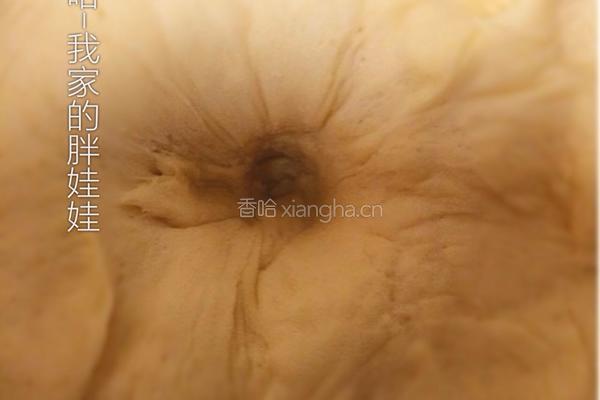 咸菜鸡肉包的做法图解7