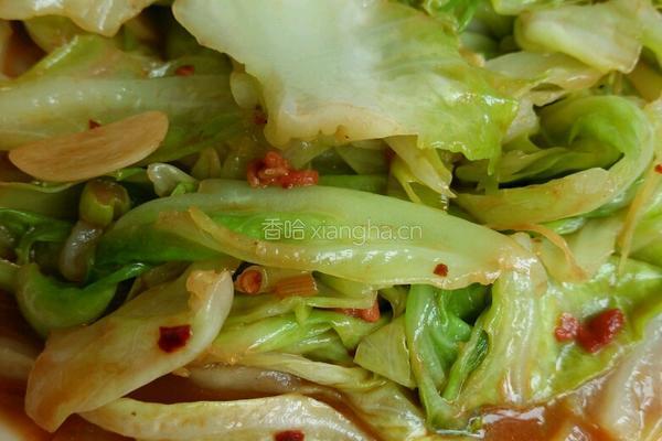 小炒圆白菜