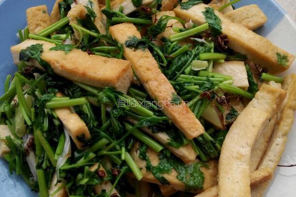 香菜豆腐的做法图解4
