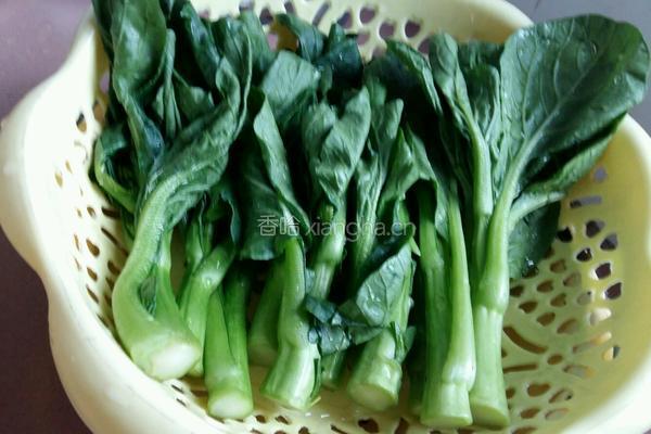 蒜蓉宁夏菜心的做法图解5