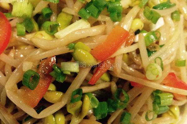 干煸黄豆芽的做法图解4