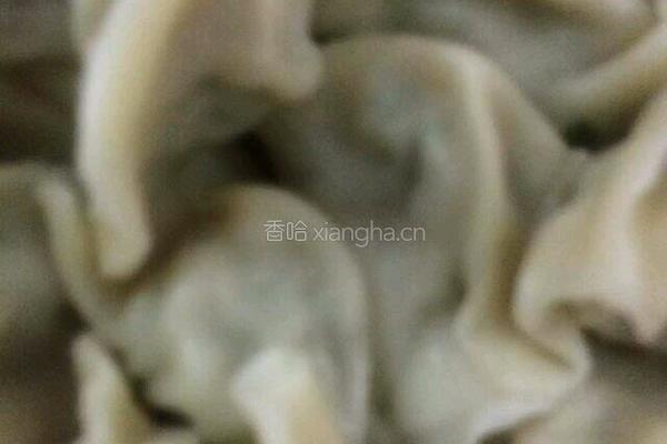 饺子的做法图解3