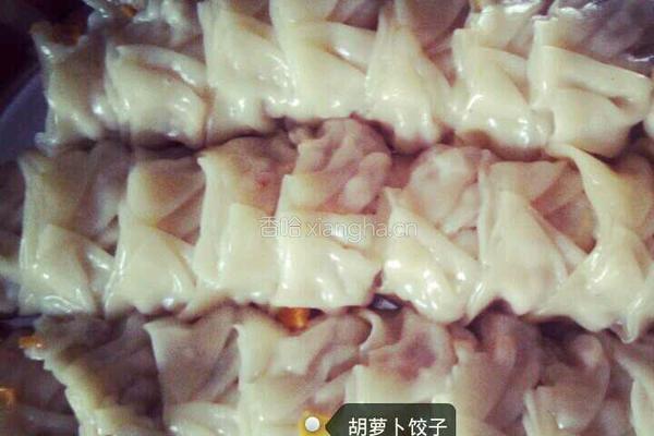 胡萝卜木耳饺子的做法图解4