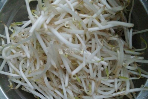 豆芽炒宽粉的做法图解2