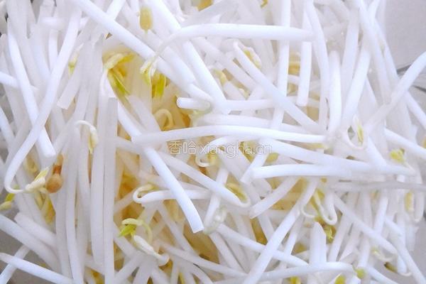 韭菜豆芽炒肉的做法图解2
