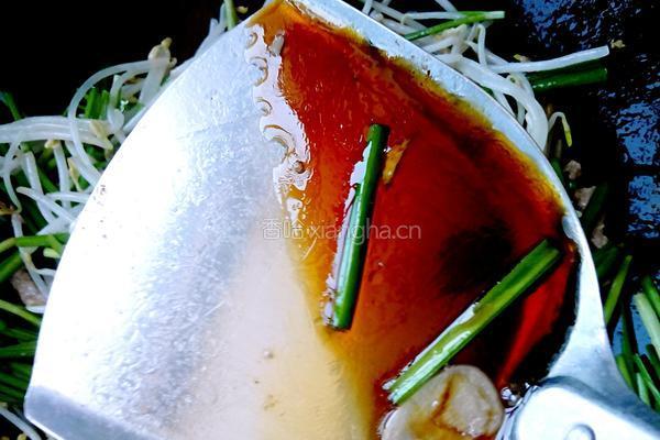 韭菜豆芽炒肉的做法图解10