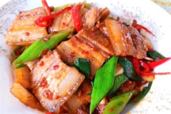 回锅肉的做法图解10
