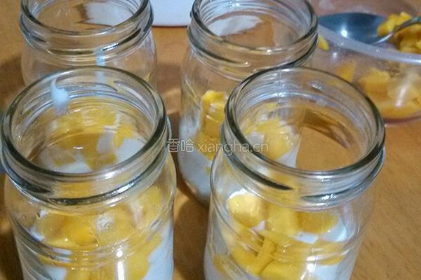 燕麦芒果酸奶的做法图解4