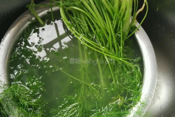 煮茴香的做法图解1