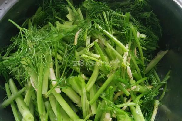煮茴香的做法图解2