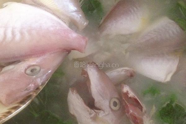 老火汤马面鱼粥的做法图解8