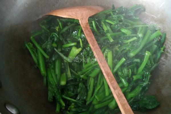 炒菜苔的做法图解4