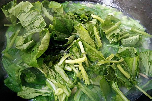 小白菜豆腐汤的做法图解9