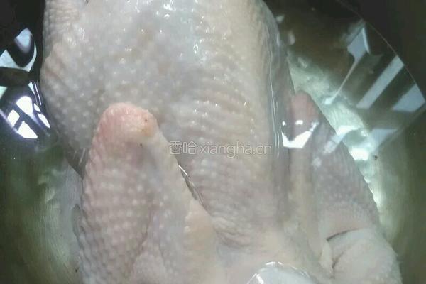 白切鸡的做法图解3