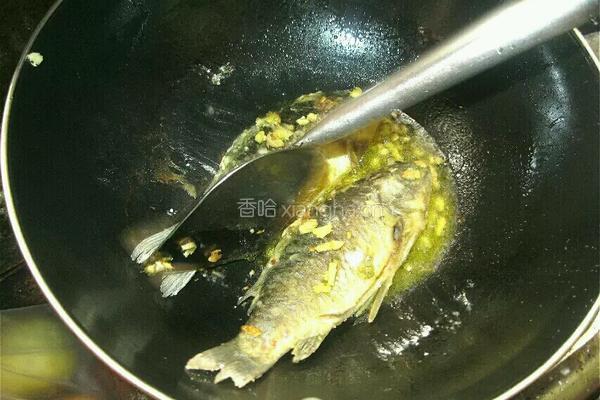 鲫鱼豆腐汤的做法图解8