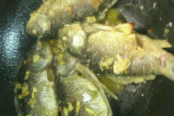 鲫鱼豆腐汤的做法图解11