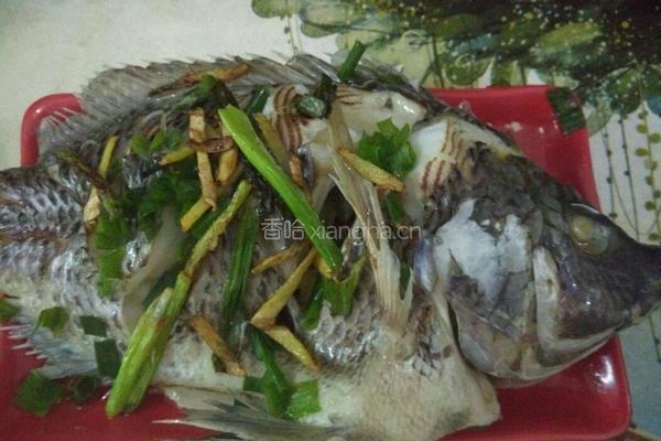 清蒸福寿鱼的做法图解3