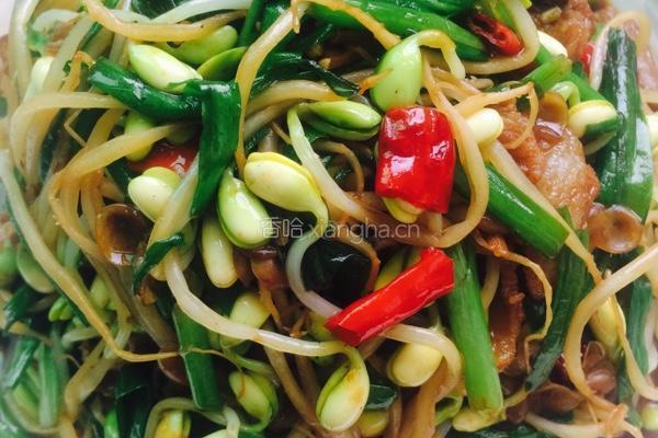 豆芽韭菜炒肉的做法图解7