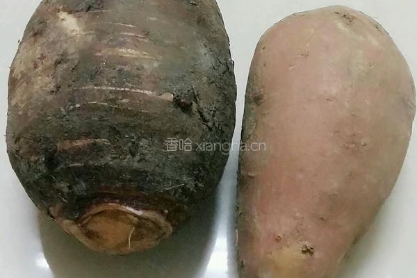 红薯香芋糖水的做法图解1