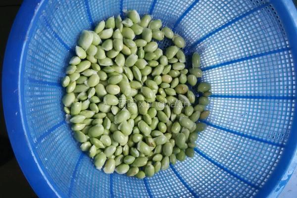 毛豆烧鲢鱼的做法图解9