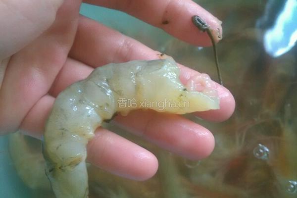 滑炒虾仁的做法图解2