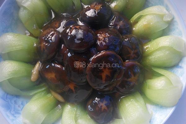 香菇油菜的做法图解13