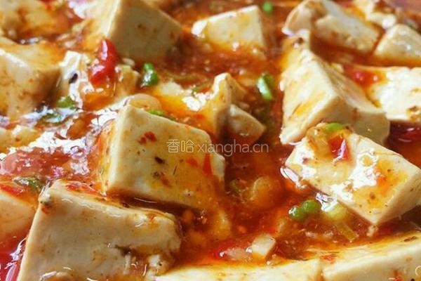 麻婆豆腐