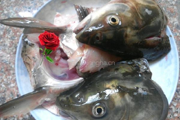 鱼头豆腐汤的做法图解1
